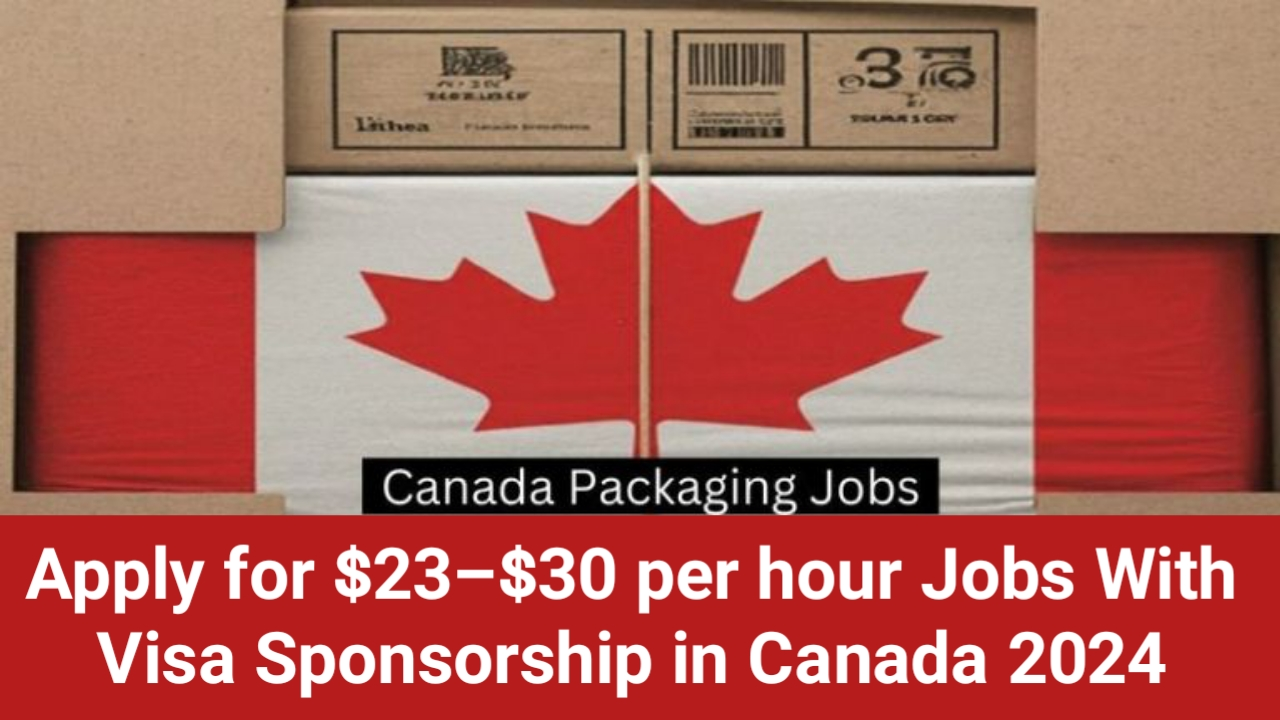 The Canada Job Sponsorship