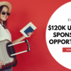 $120k USA Visa Sponsorship